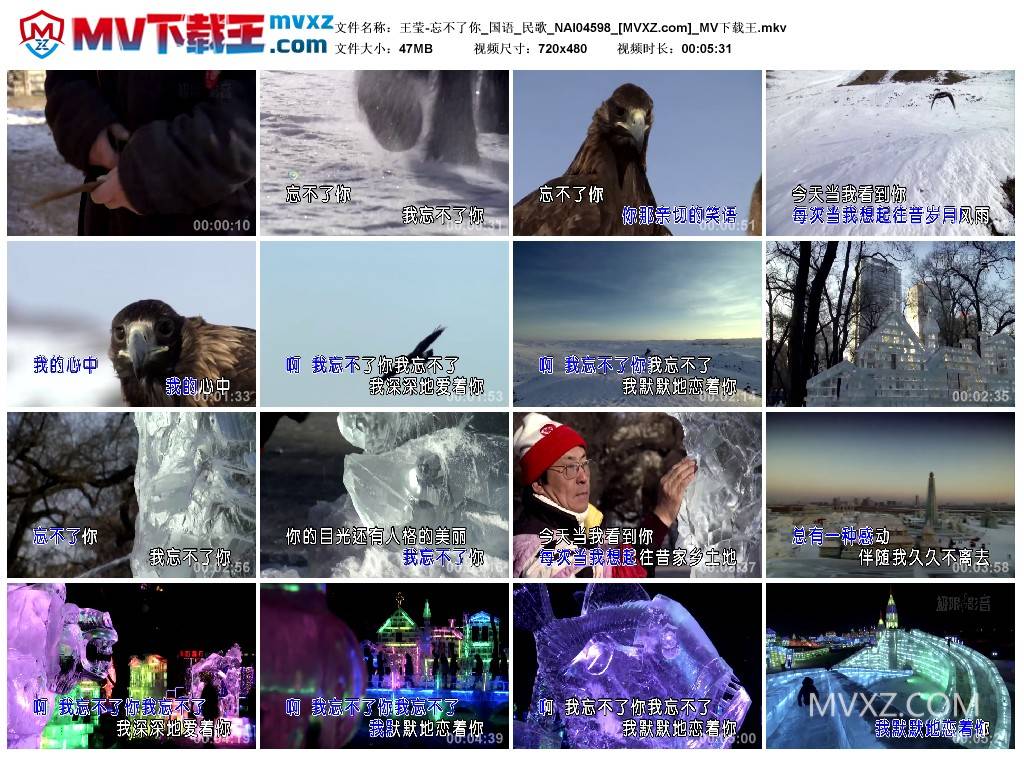 王莹-忘不了你_国语_民歌_NAI04598